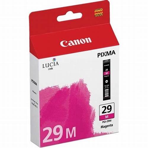 Canon Genuine Ink Cartridge PGI-29 (36ml) - OfficePlus