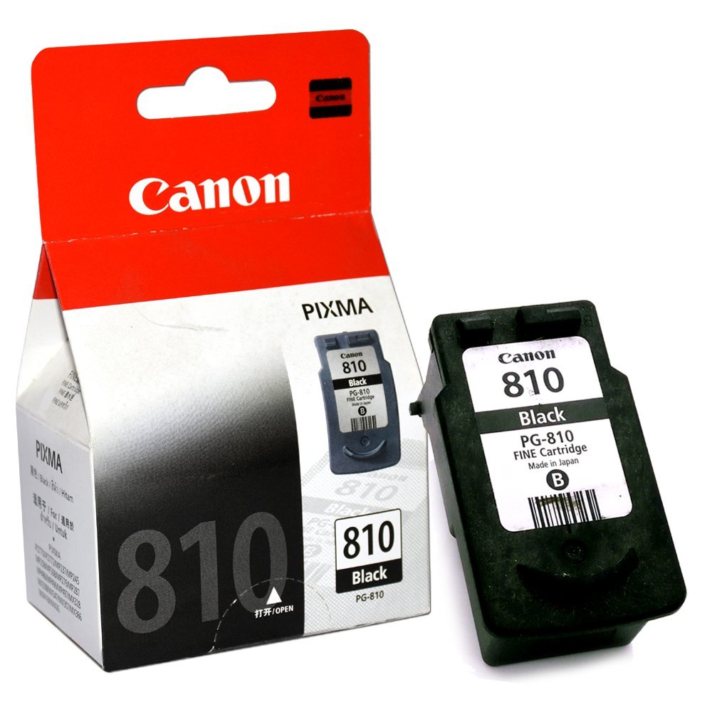 Canon Genuine Ink Cartridge PG-810 (2 Capacity) - OfficePlus