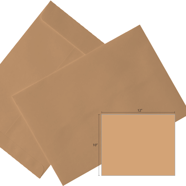 Butterfly Brown Envelope- 10″ x 12″ 250’S/BOX - OfficePlus