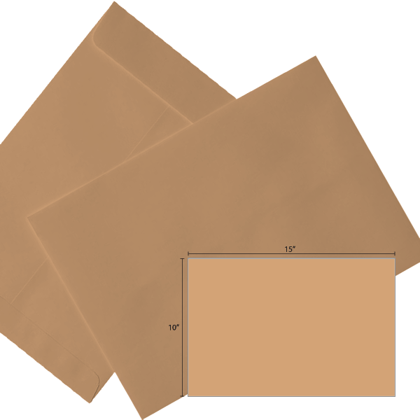 Butterfly Brown Envelope-10″x15″ 250’S/BOX - OfficePlus