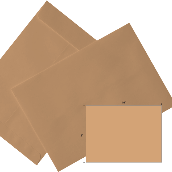 Butterfly Brown Envelope-12″x16″ 250’S/BOX - OfficePlus