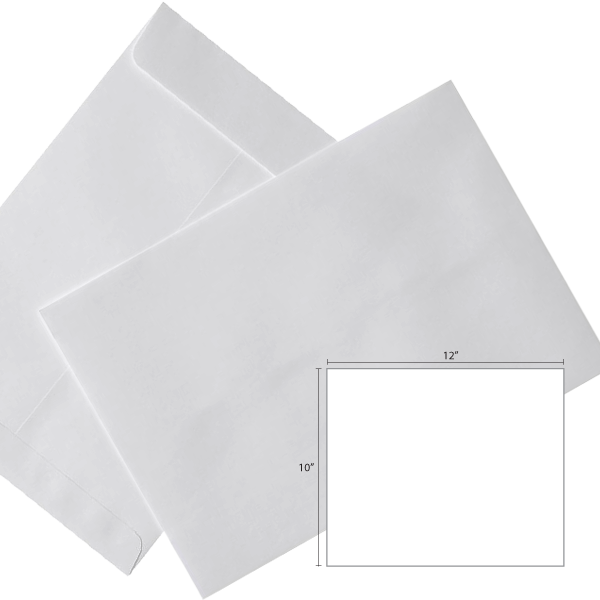 Butterfly White Envelope- 10″ x 12″-250’s/Box - OfficePlus